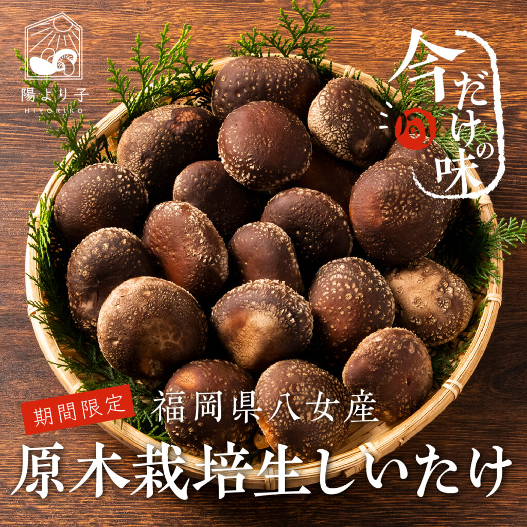 原木しいたけの豊かな香りと肉厚感を伝える、ECサイト用商品画像