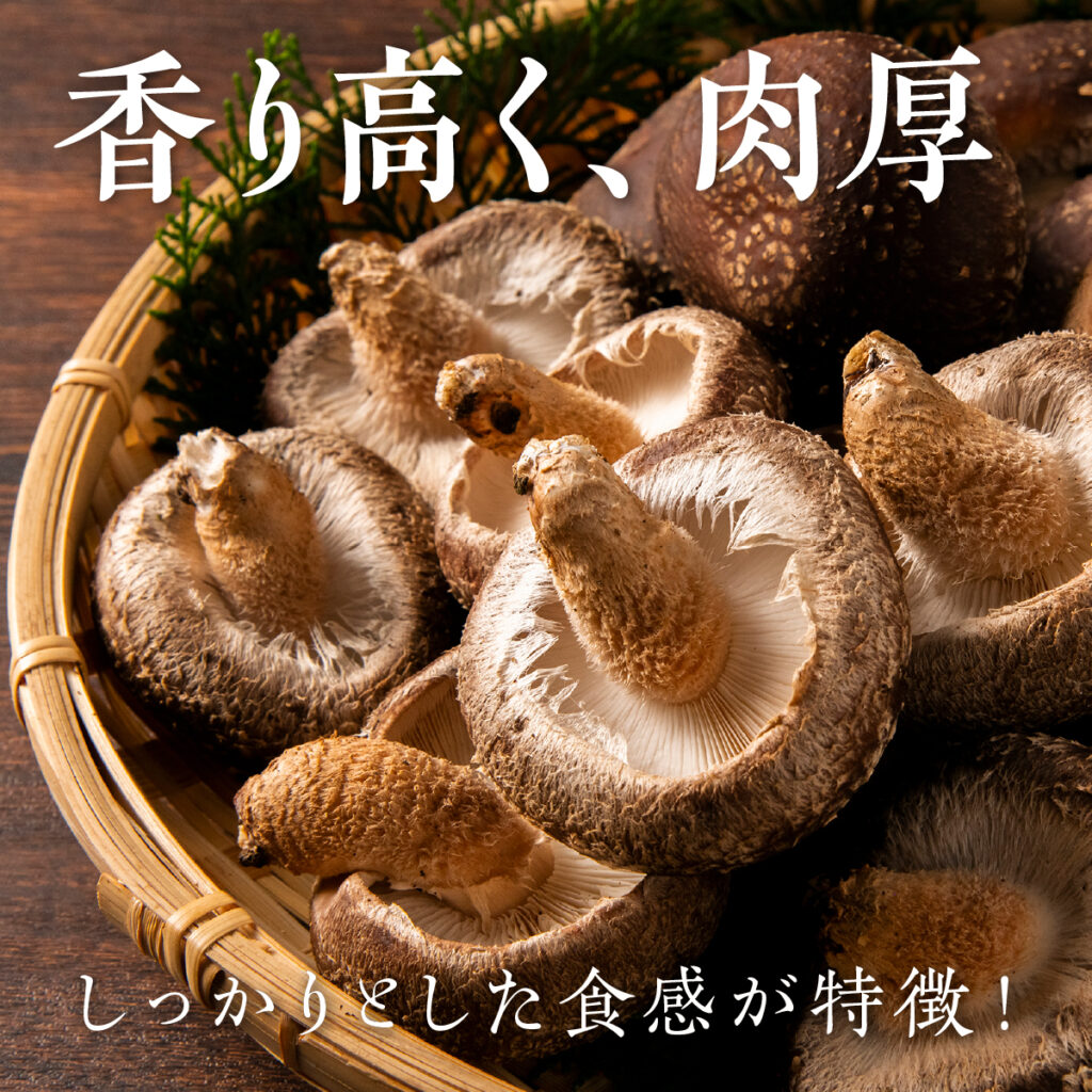 原木しいたけの豊かな香りと肉厚感を伝える、ECサイト用商品画像