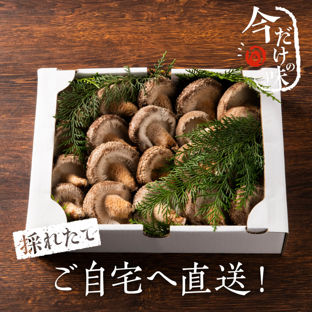 原木しいたけの豊かな香りと肉厚感を伝える、ECサイト用商品画像